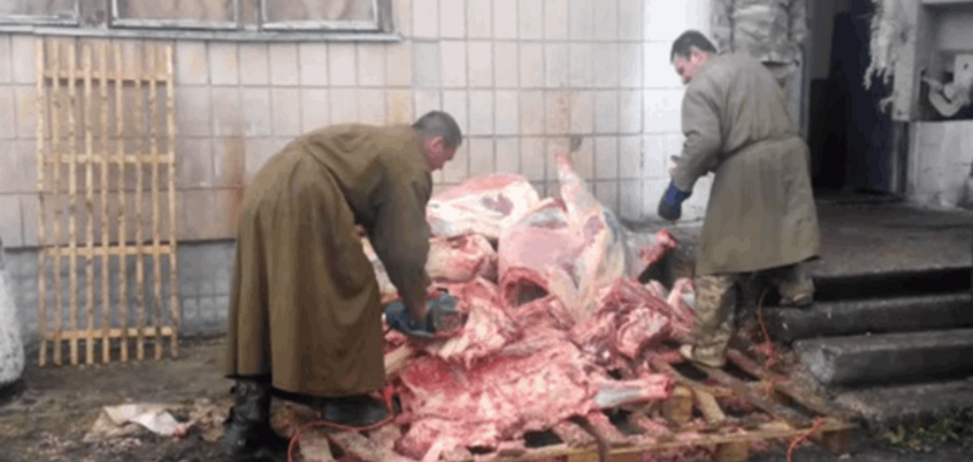 Фреймут на них нет! Украинских солдат кормят 'блевотиной' и 'мясом 68 года': видеофакт