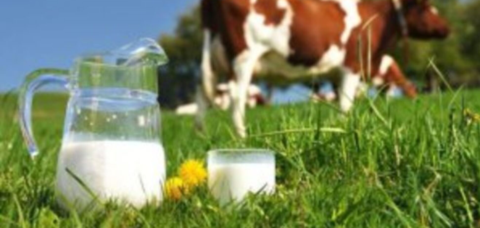 В России катастрофическая нехватка молока