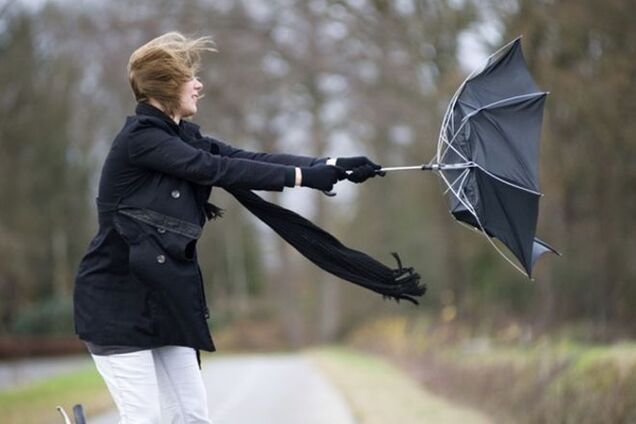 В Киеве разгулялся сильный ветер: предупреждение синоптиков