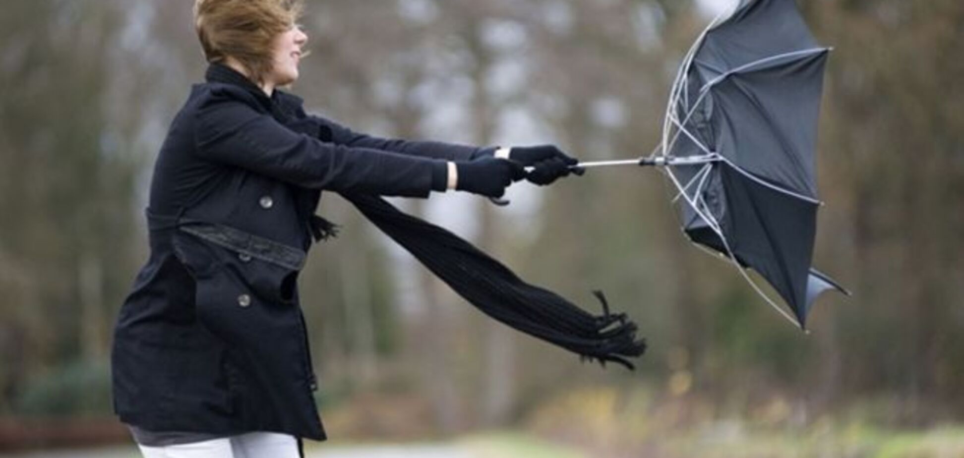 В Киеве разгулялся сильный ветер: предупреждение синоптиков