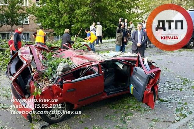 Дерево-убийца: стали известны подробности автотрагедии в Киеве