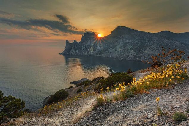 Путин украл не только Крым