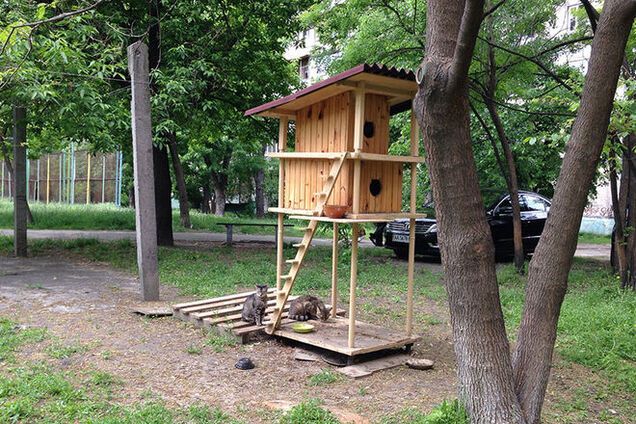 В Киеве появился домик для бездомных котов: фотофакт