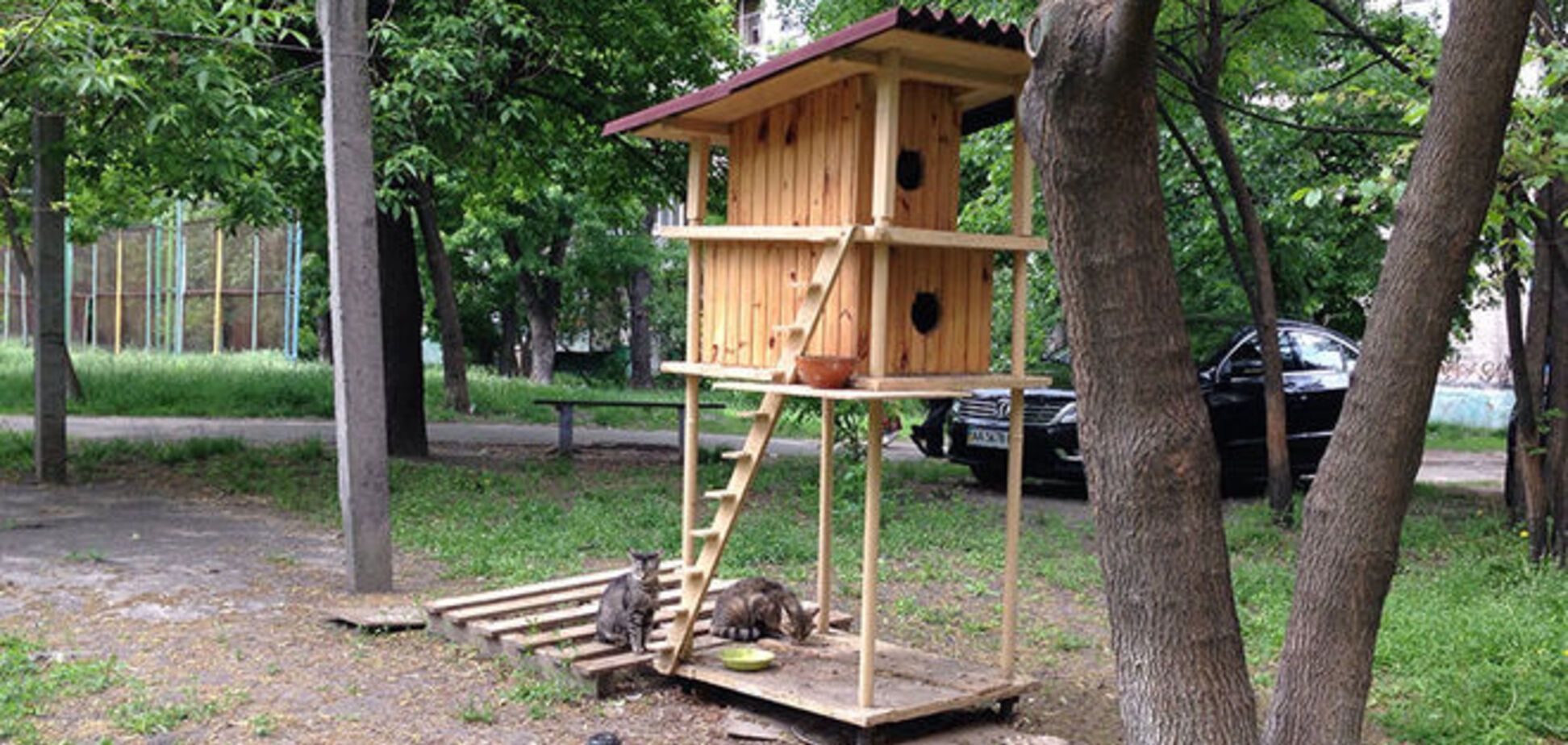 В Киеве появился домик для бездомных котов: фотофакт