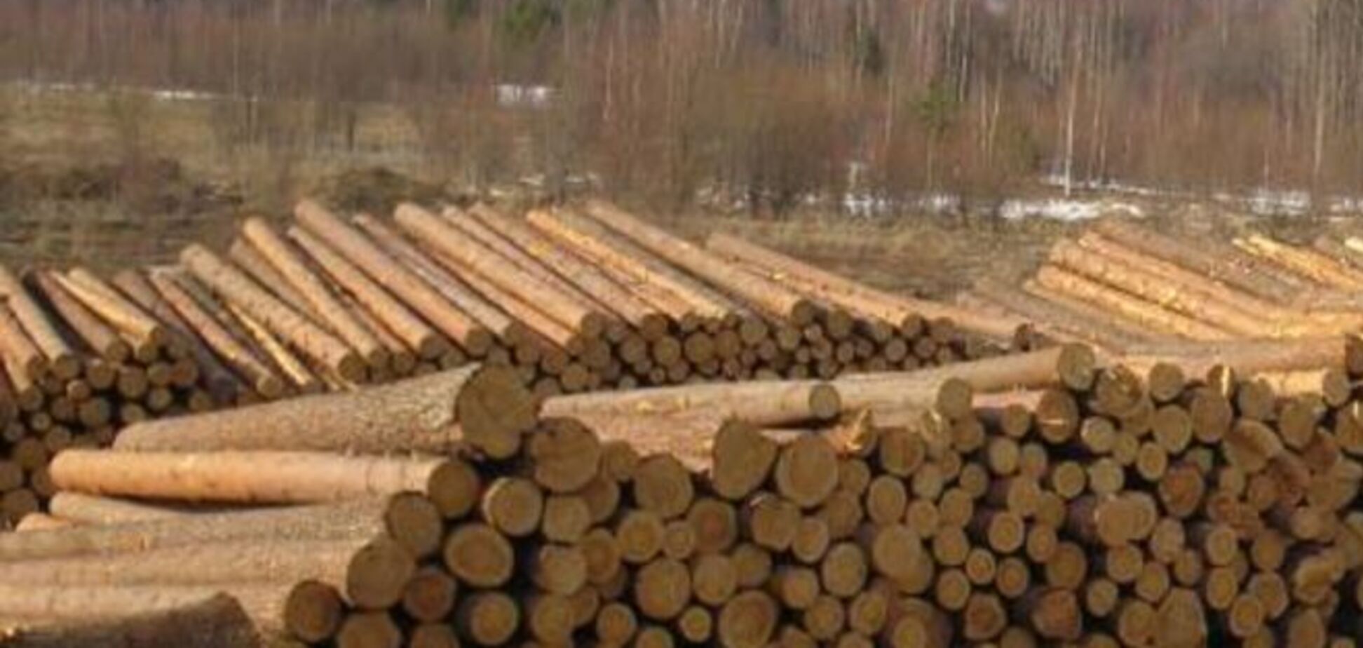 Рада освободит от НДС и пошлины импорт деревообрабатывающего оборудования