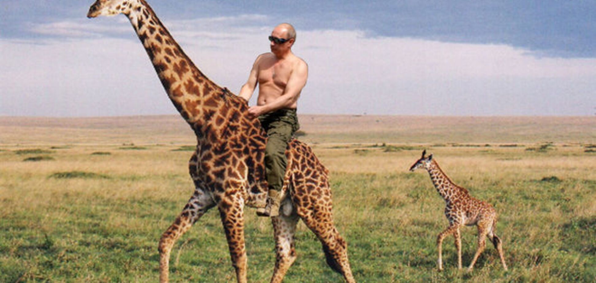 Путин женится на корове, на днях (звёзды сказали)