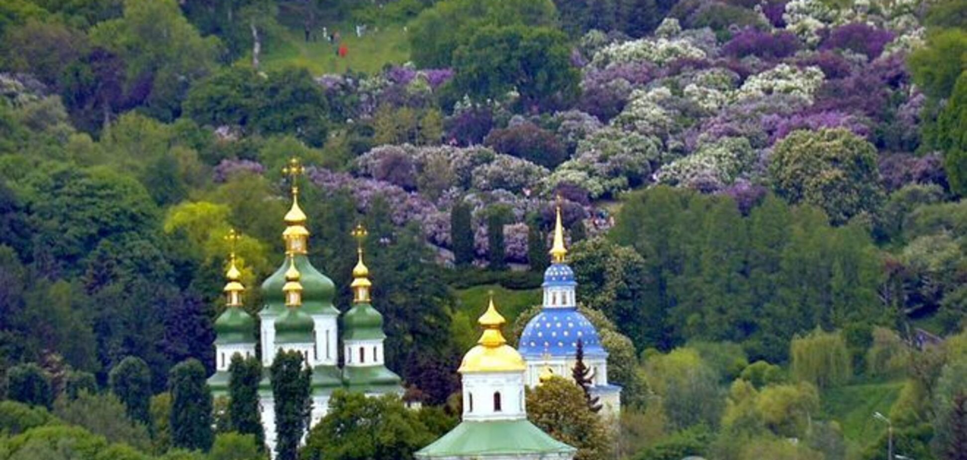 Роскошная весна: Киев утопает в цветах