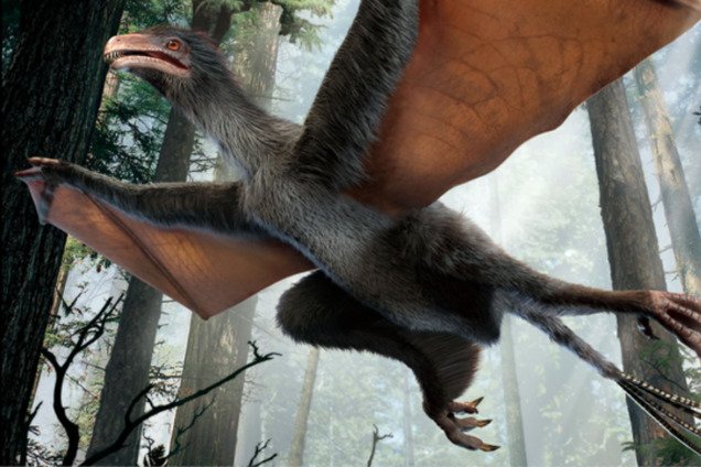 В Китае нашли 