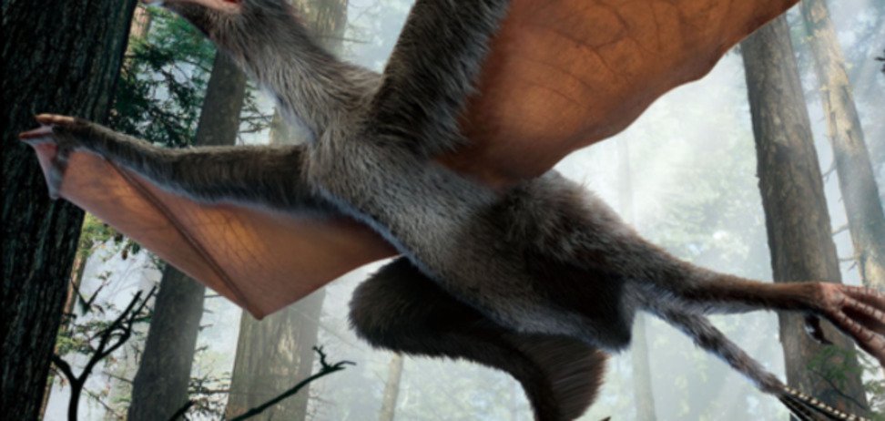 В Китае нашли