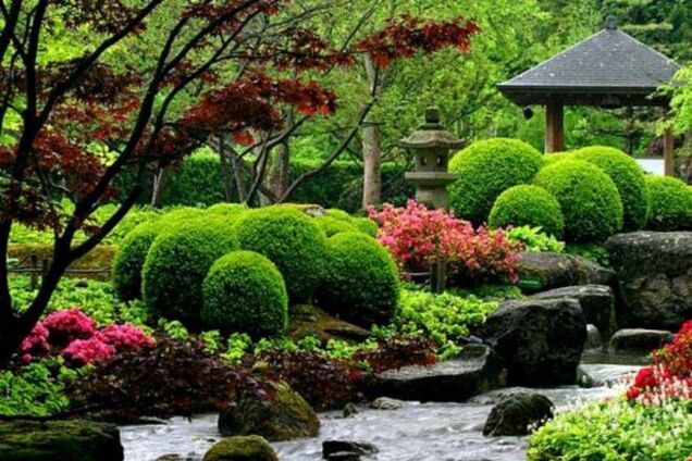 Секреты садоводов: 12 хитростей для создания маленького рая