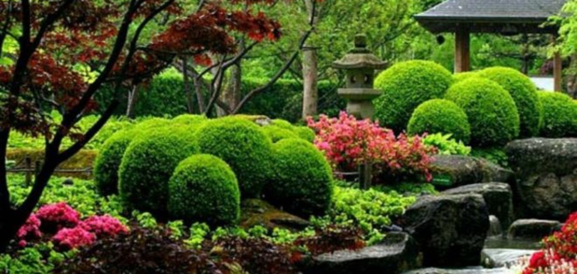 Секреты садоводов: 12 хитростей для создания маленького рая