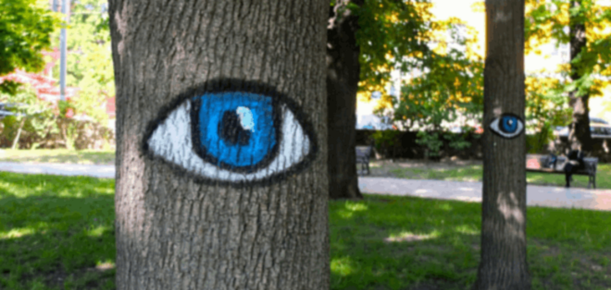 В киевском парке появились деревья с глазами: фотофакт