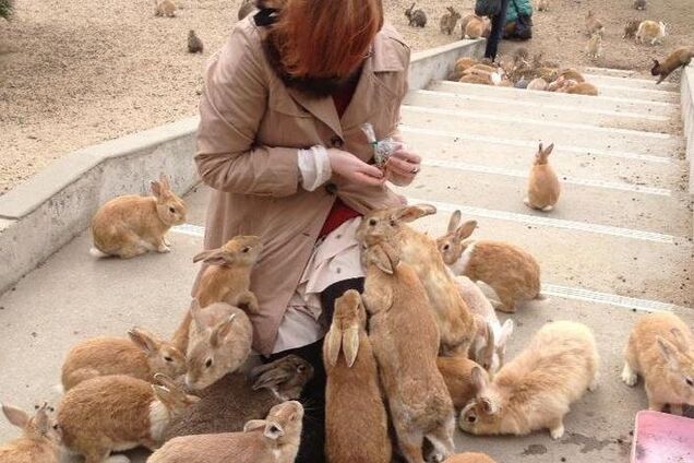 Лапки да ушки: пушистый остров кроликов в Японии