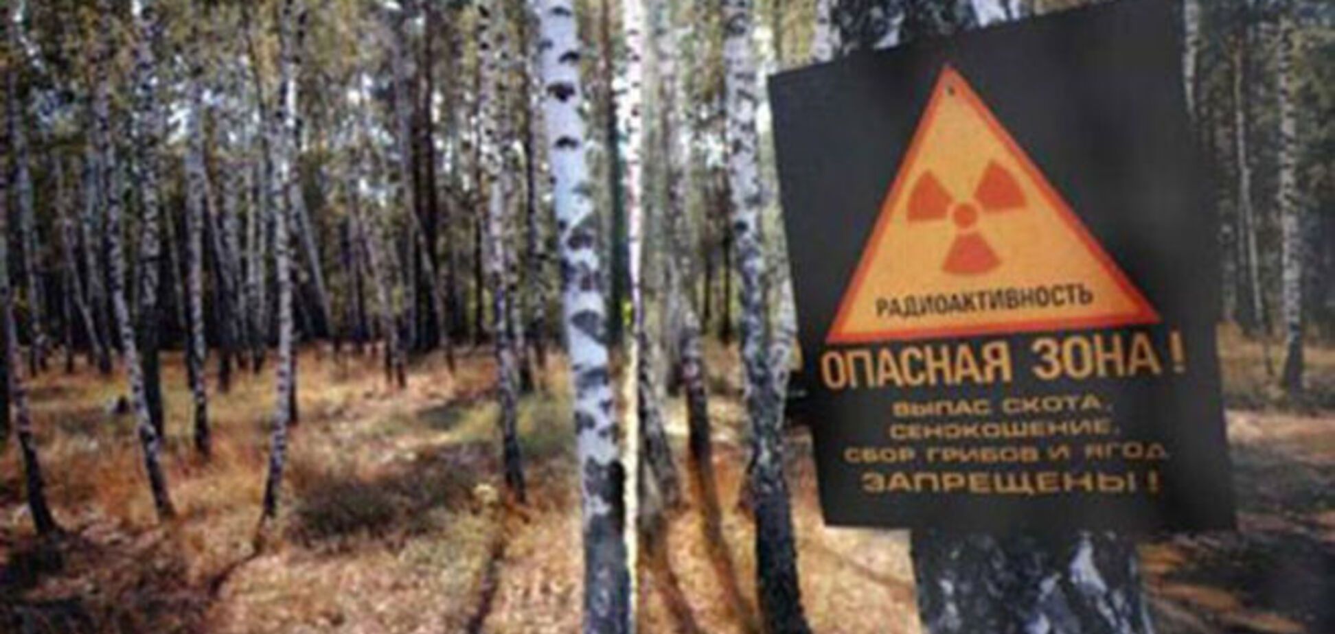 В Минэкологии нашли крайнего в недофинансировании Чернобыльской зоны