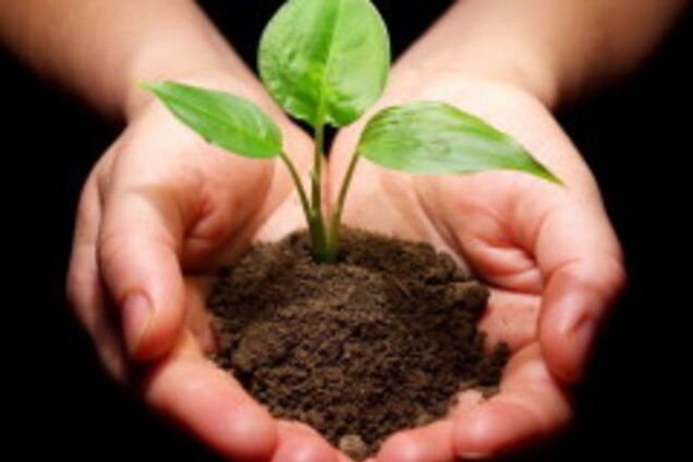 Жить в бурьяне и мусоре не запретишь