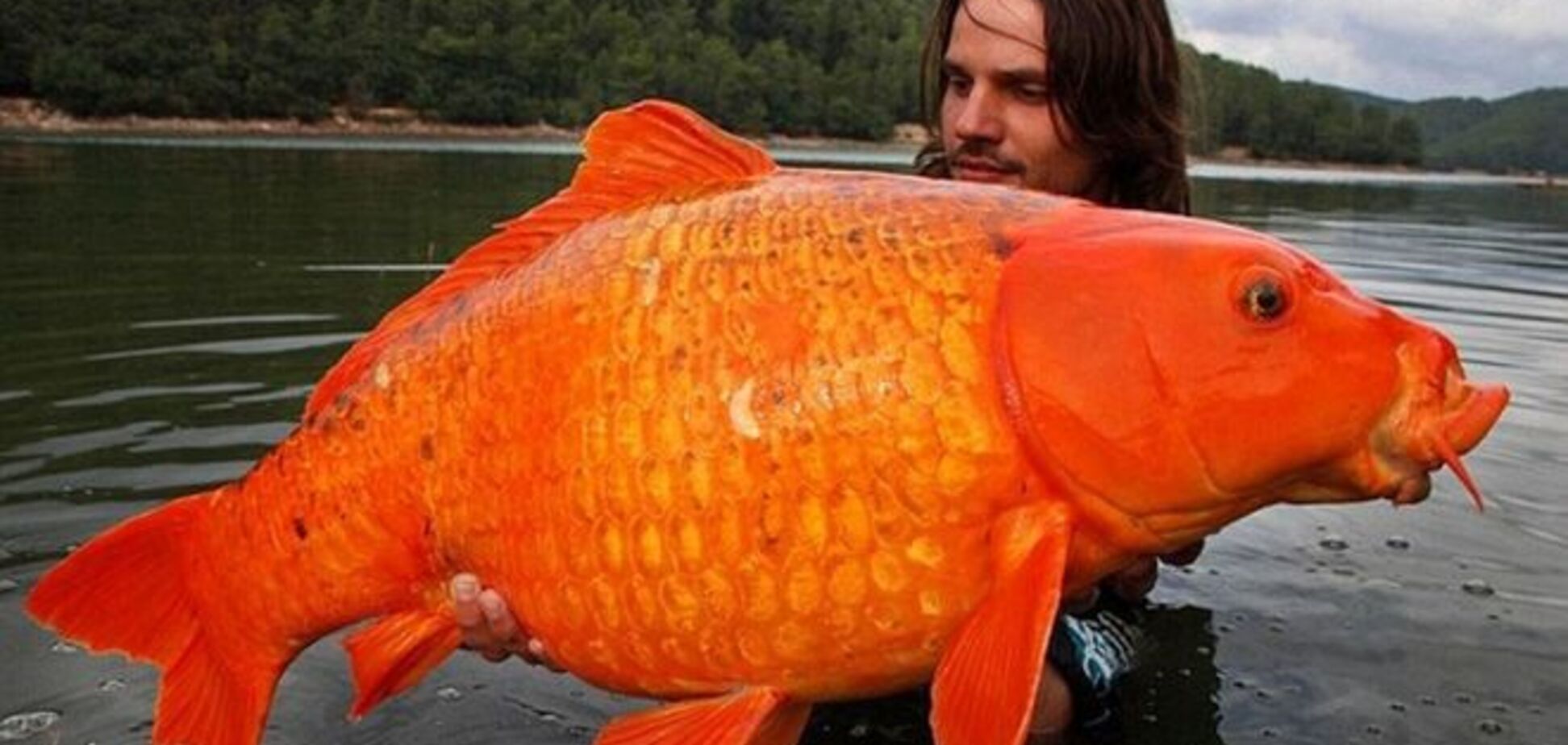 15 фото, в которые сложно поверить