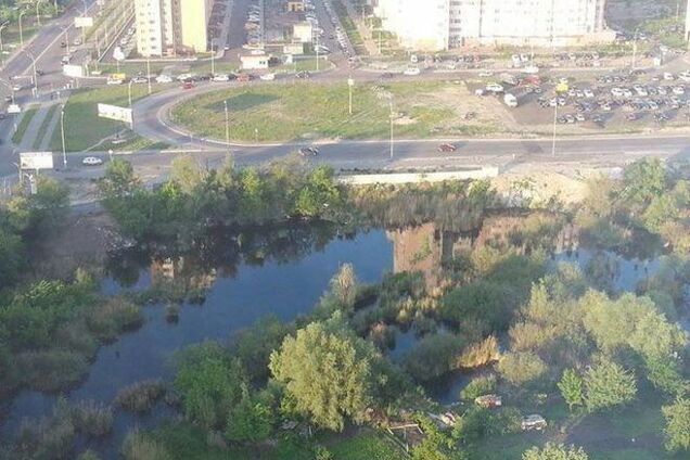 Киевлянка подняла на ноги чиновников ради спасения беззащитных утят