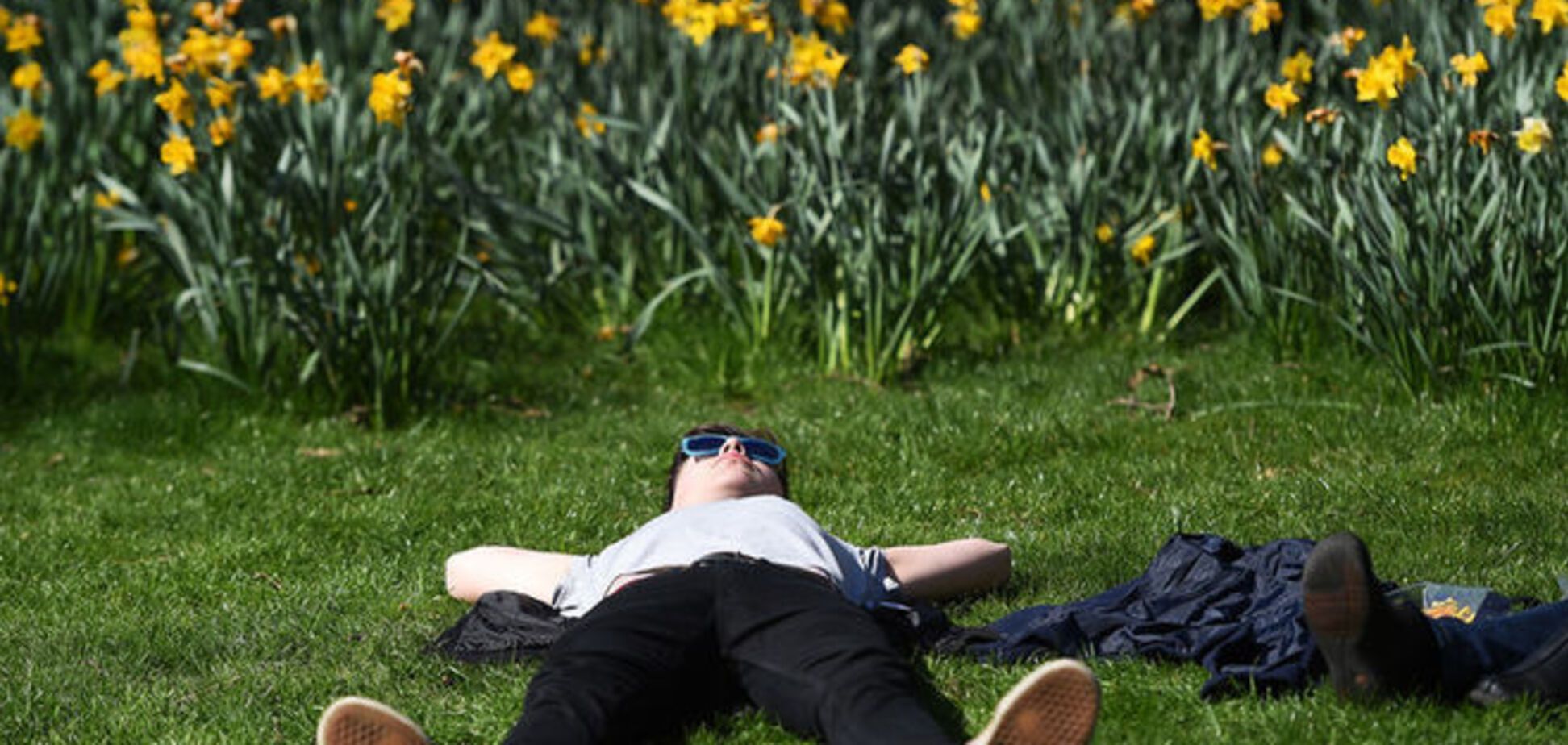 Украина начнет неделю с жарой выше климатической нормы