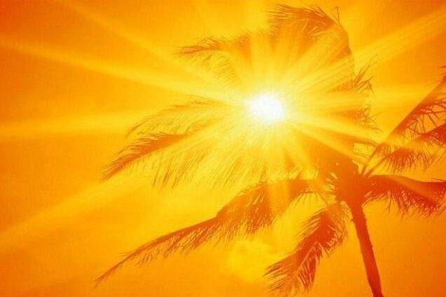 Аномальная жара в Индии убила более 300 человек