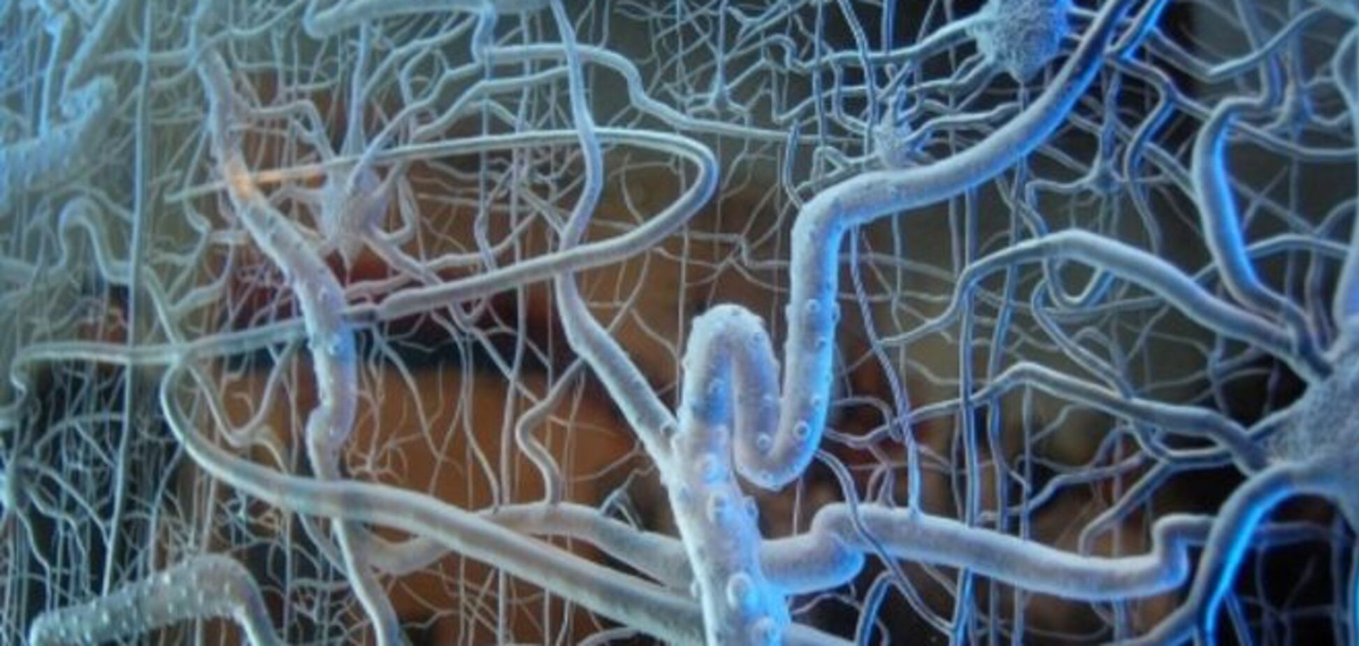 Сильнейшие мира сего продолжают плести сети