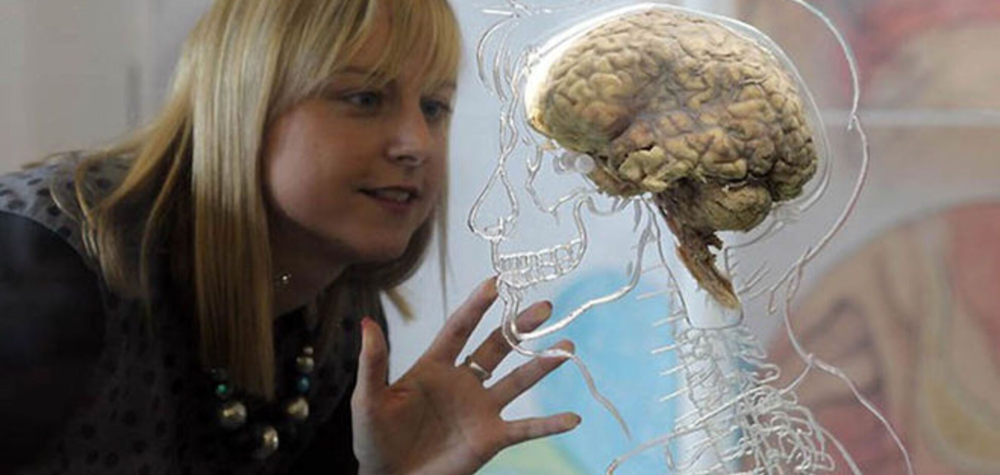 Ученые доказали, что большой мозг помогает выжить женщинам, но не мужчинам