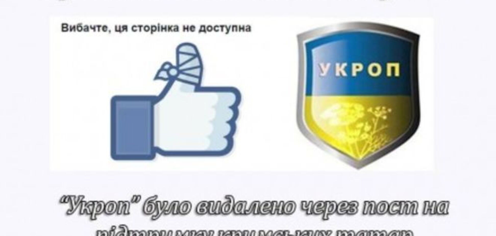 Facebook удалил сообщество 'УКРОП' за фото в поддержку крымских татар