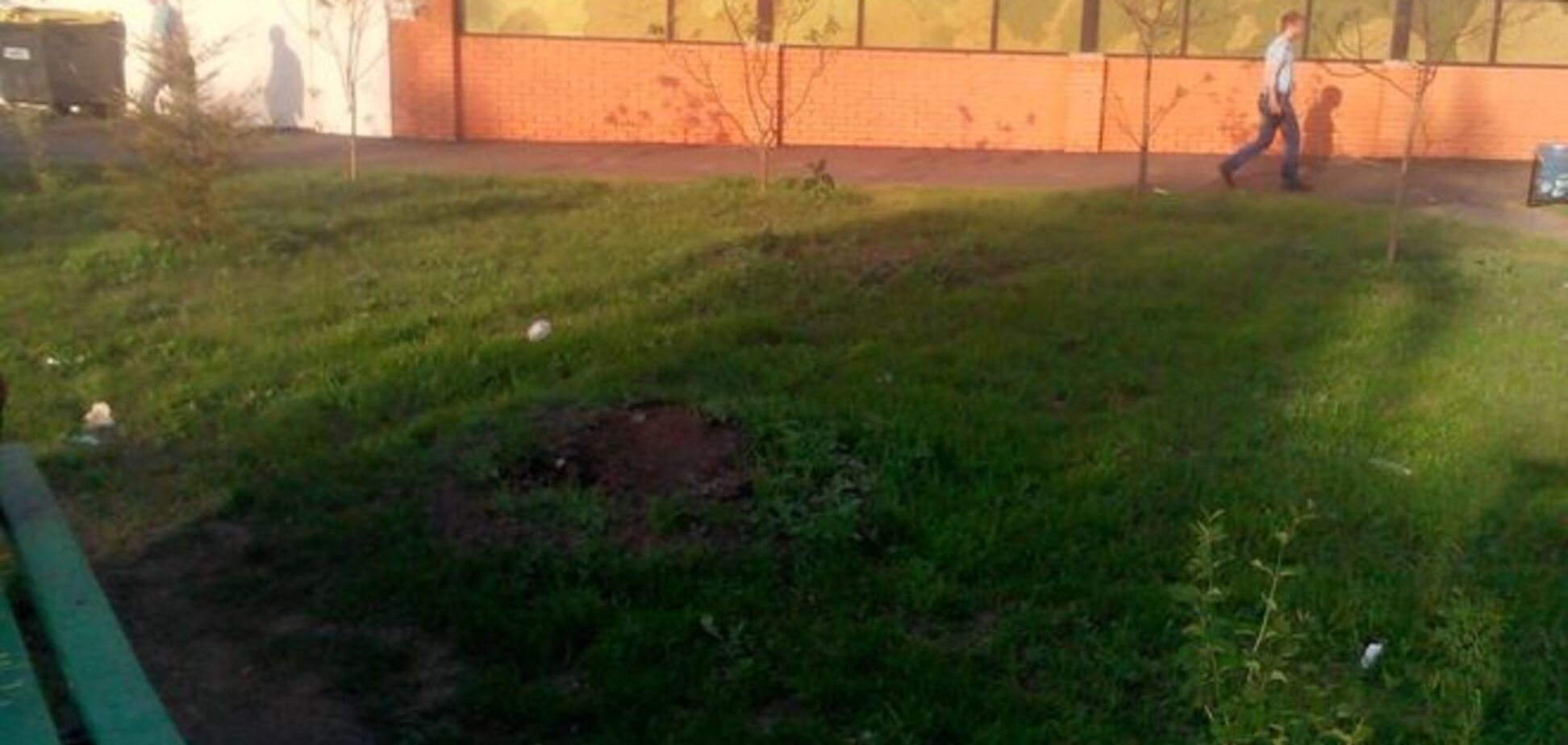 В Киеве ищут варваров, вырвавших молодые деревья в сквере