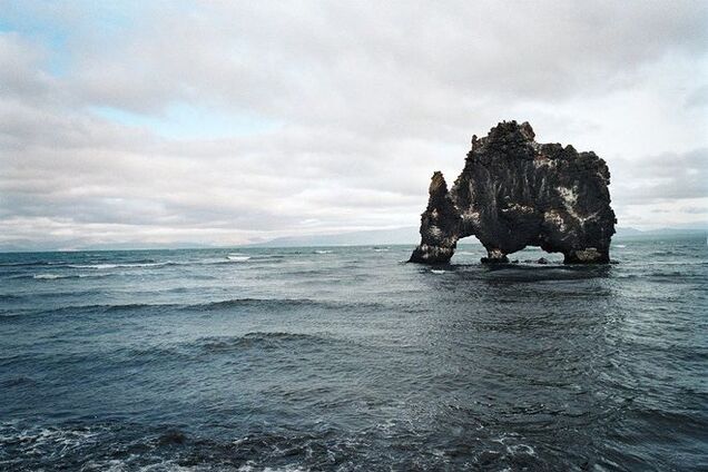 Пугающий каменный динозавр на водопое в Исландии