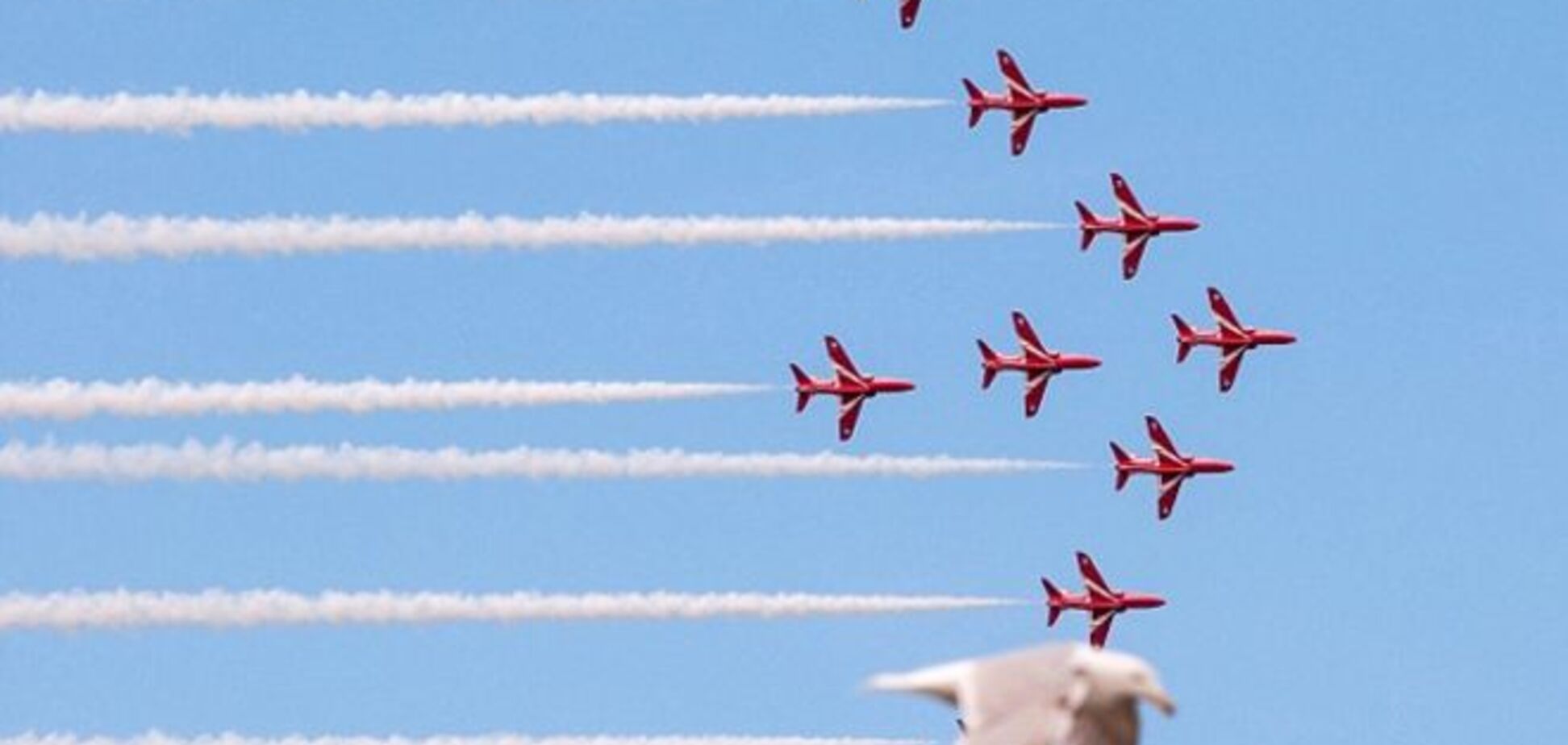 Птица очень смешно зафотобомбила полет группы ВВС Британии