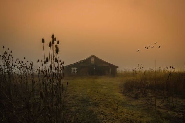 Мать-одиночка дарит миру удивительные фото природы