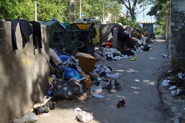 'Такой свалки при Украине не было': севастопольцы возмущены порядками местных оккупантов