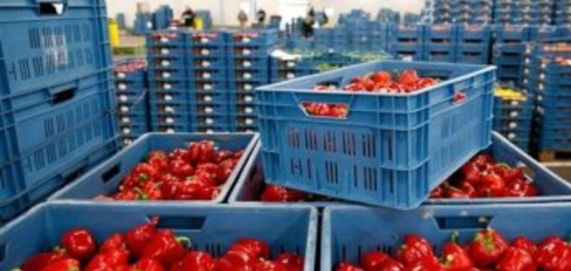Украина на аграрных товарах стала наибольшим экспортером ЕС