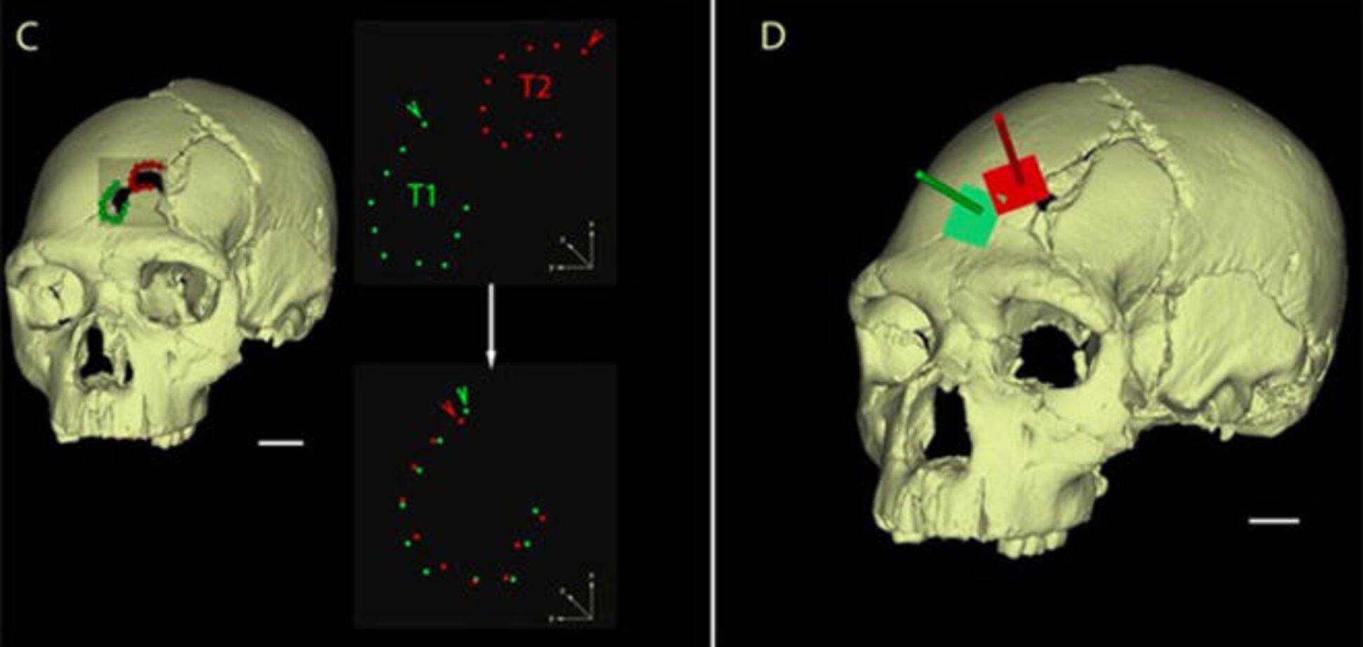 Археологи вышли на след первого убийства в истории человечества