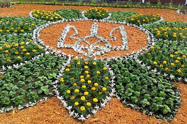 В Киеве появилась клумба-цветок с тризубом: фотофакт