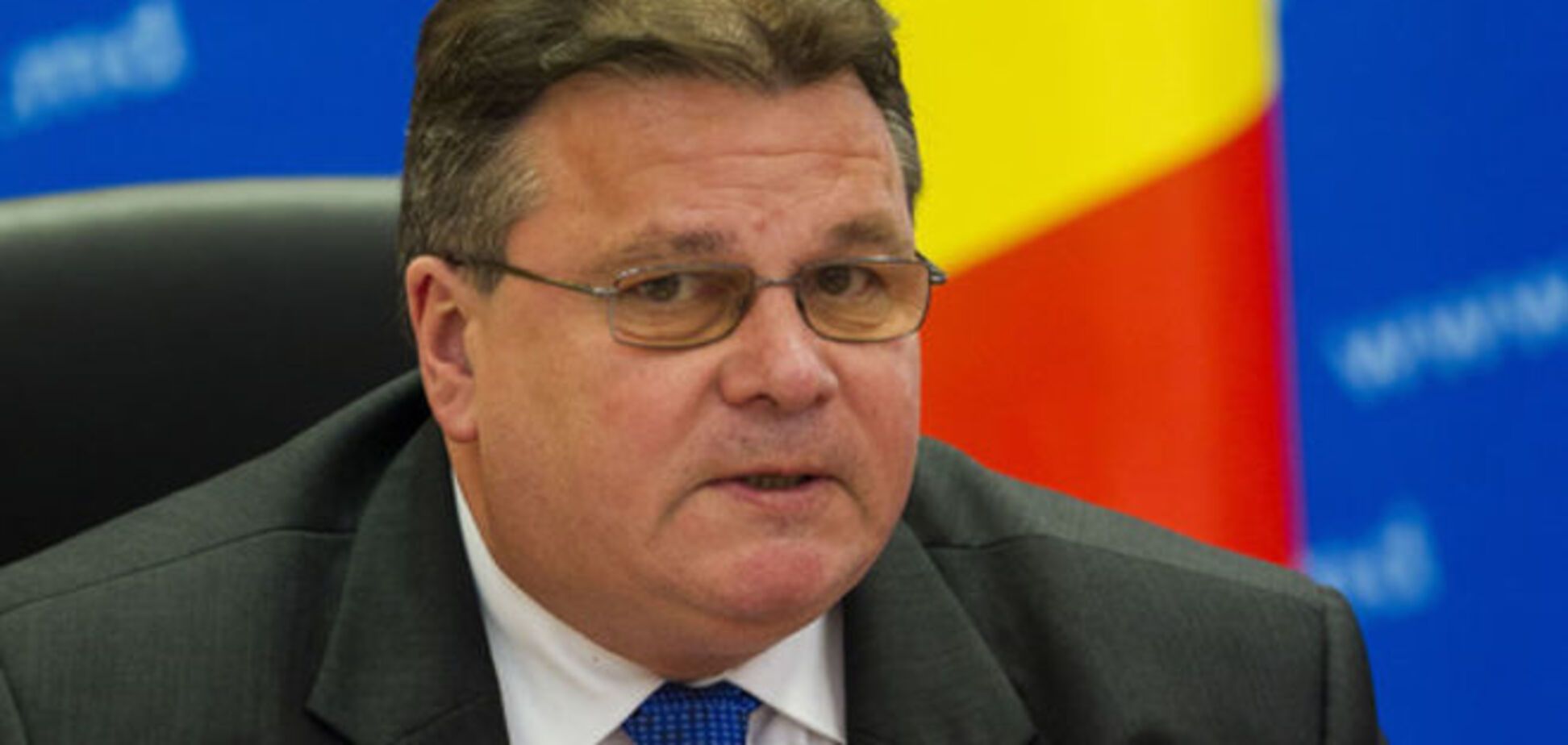 МИД Литвы: террористы на Донбассе экипированы лучше европейских армий