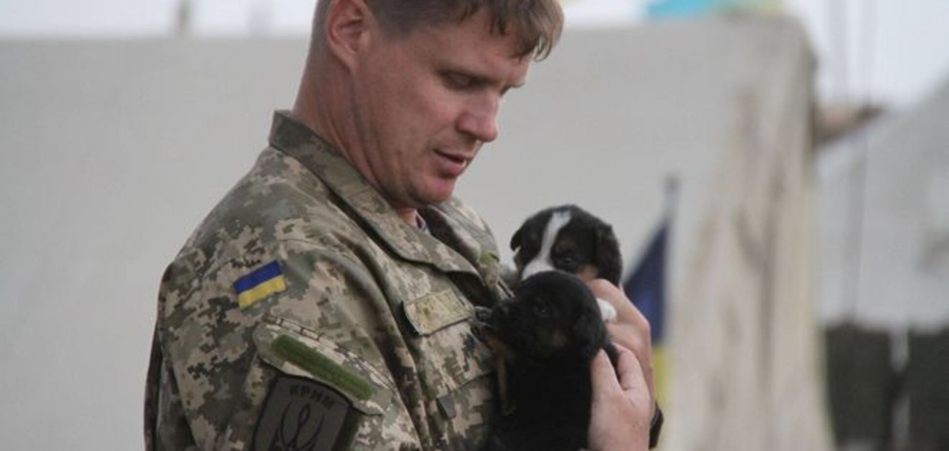 Минобороны показало 'адских псов украинских карателей': фотофакт