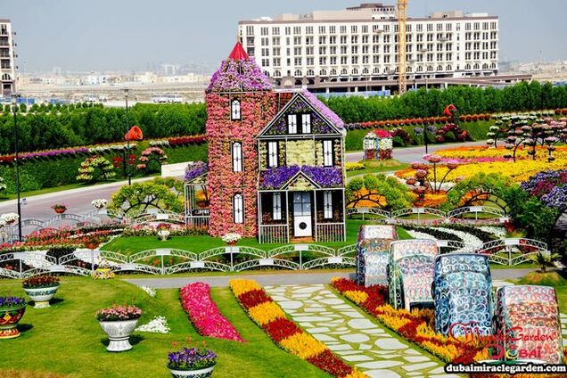 Квітковий рай серед пустелі: фото приголомшливого саду в Дубаї