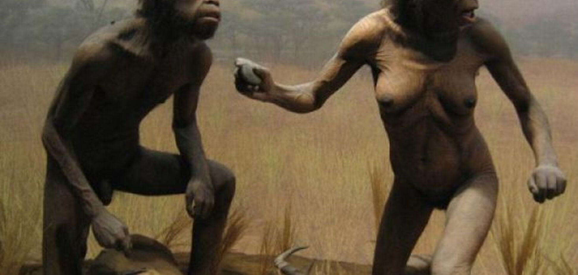 Ученые выяснили, как древние люди из Африки дошли до Азии