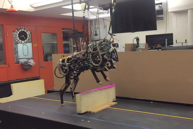 В США робота научили прыгать через препятствия по-кошачьи: видеофакт