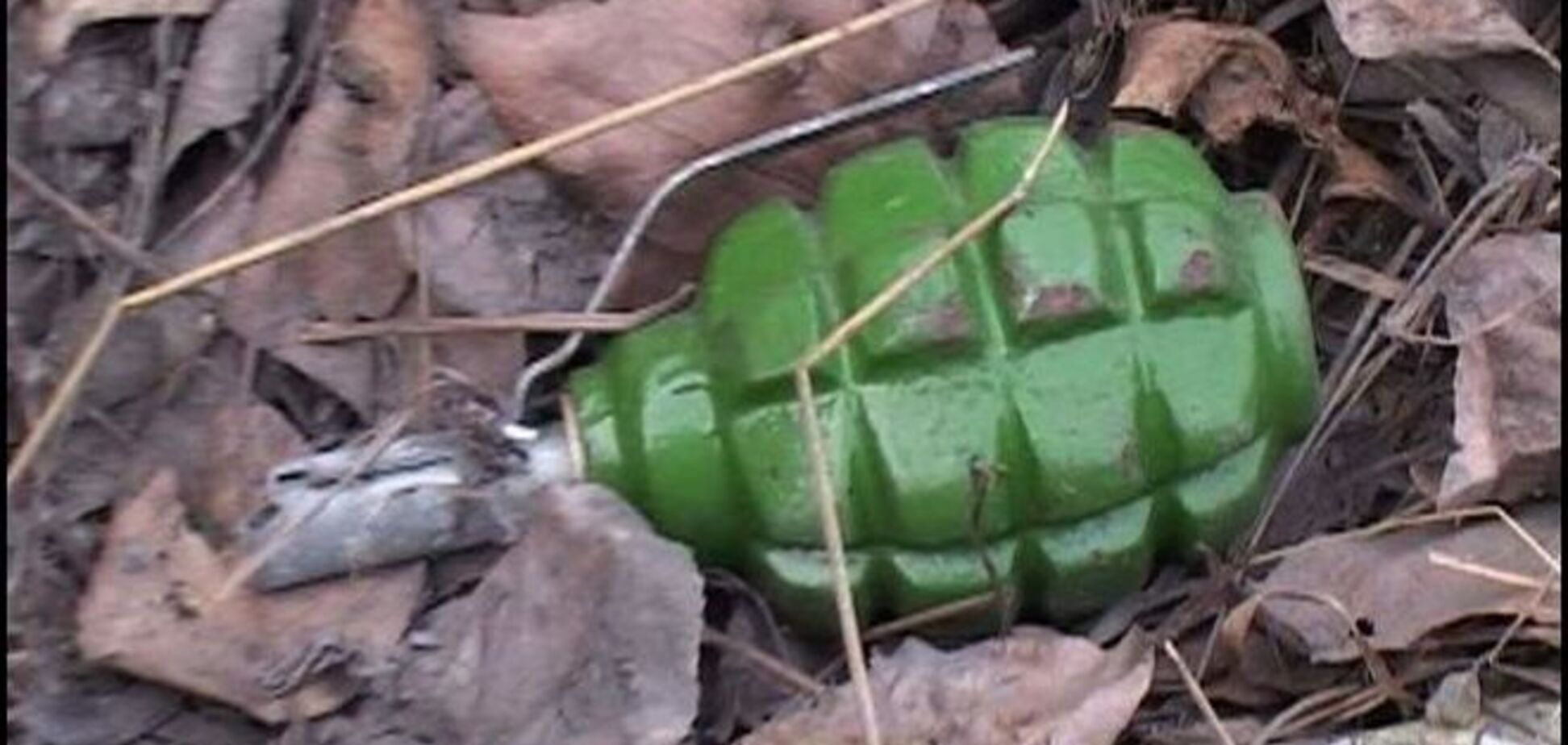 В Луганской области на растяжке подорвались отец с 14-летним сыном