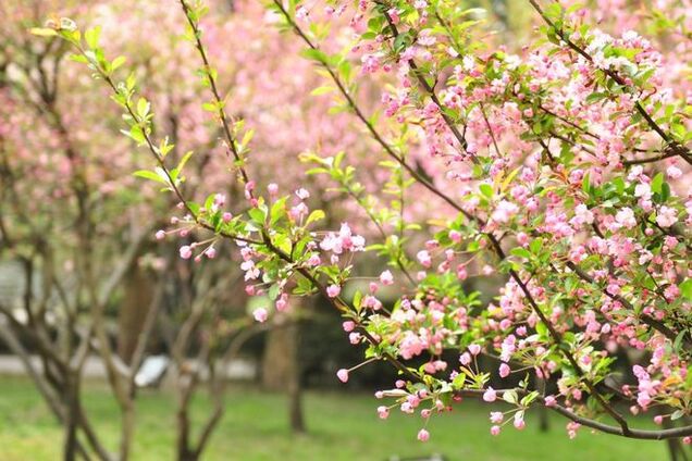 Синоптики рассказали, когда в Украине установится теплая погода