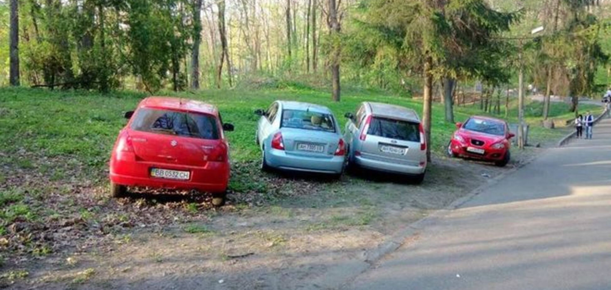 'Герой парковки': луганские и донецкие 'попаслись' в Голосеевском парке