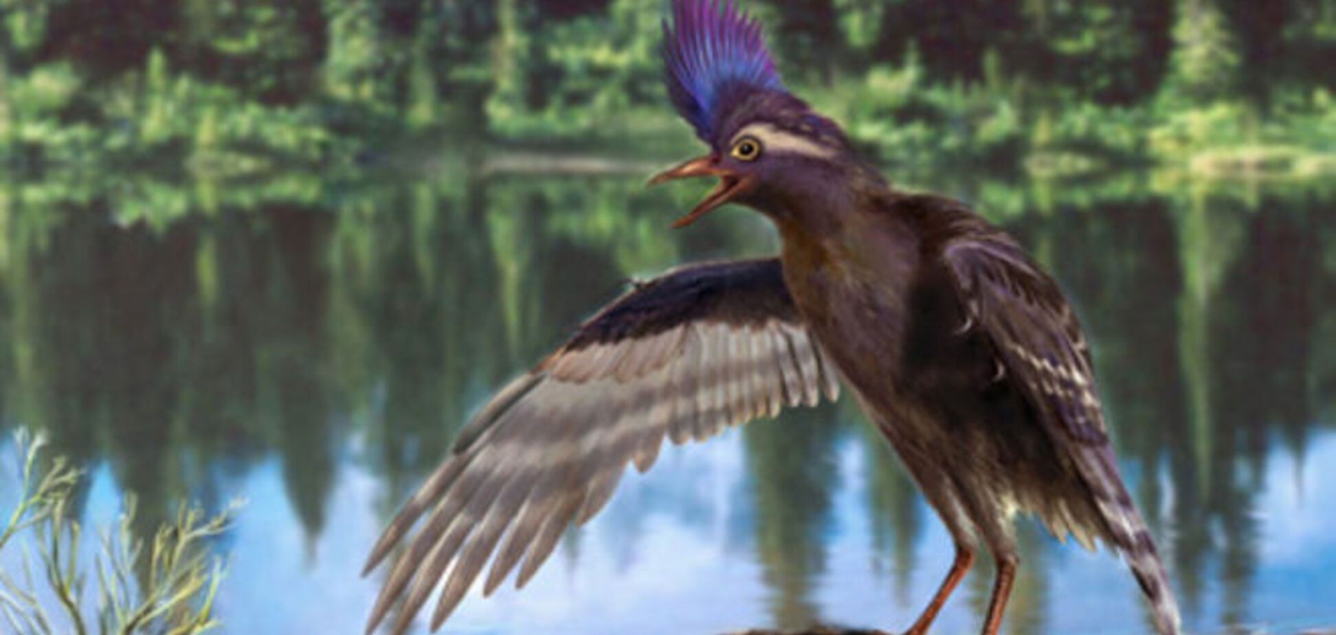 В Китае нашли останки древнейшего предка птиц