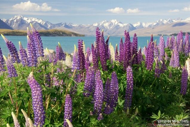 Великолепие природы: как выглядят 10 самых счастливых стран мира