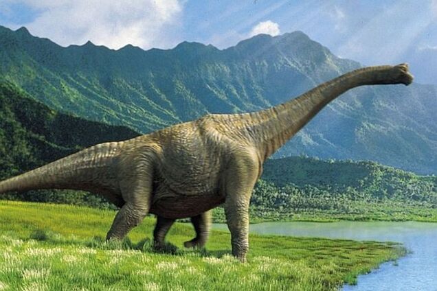 Фермер нашел останки гигантского динозавра возрастом 126 млн лет