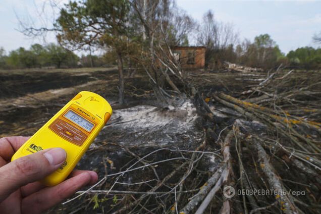 Пожар в зоне ЧАЭС: спасатели отчитались об уровне радиации