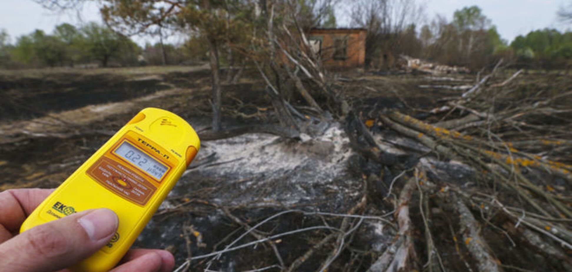 Пожар в зоне ЧАЭС: спасатели отчитались об уровне радиации