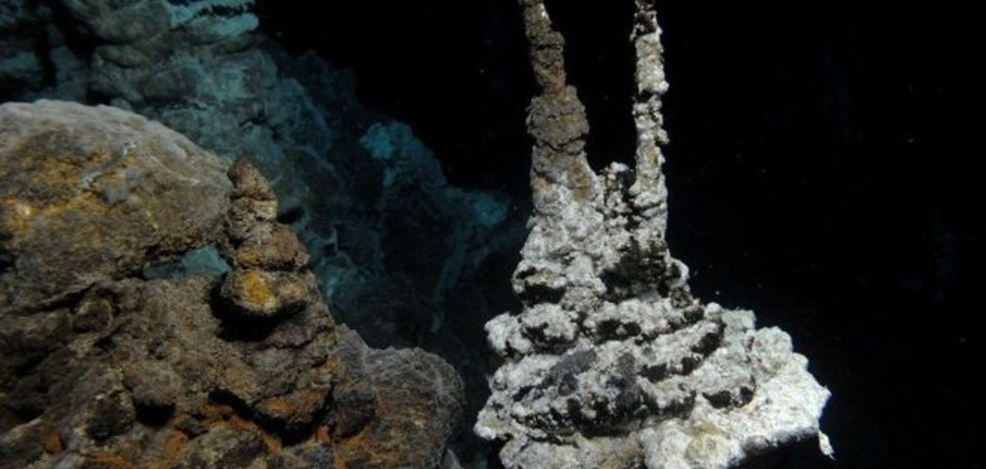 На дне океана нашли 'потерянное звено' между микробами и животными