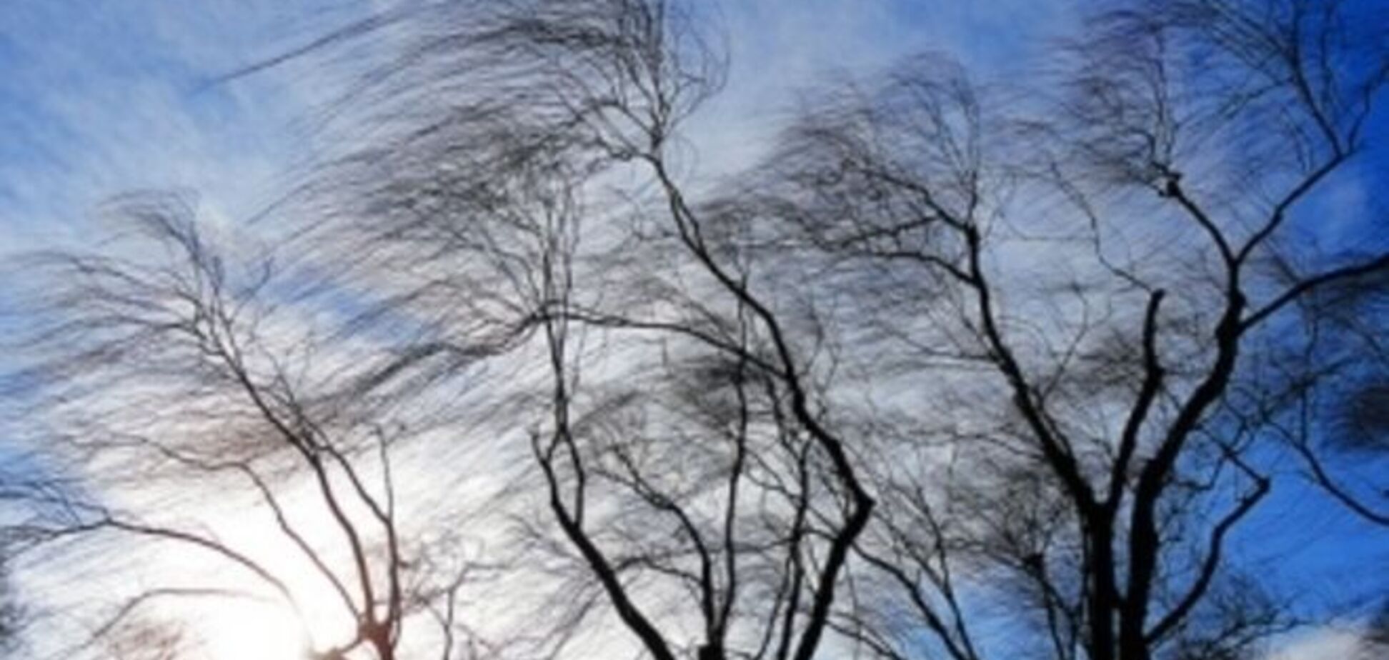 Тернопольщину и Прикарпатье накрыло проливными дождями и градом