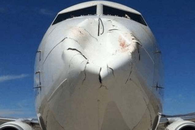Птицы в полете 'разбили' нос тяжелого 'Боинга': фотофакт